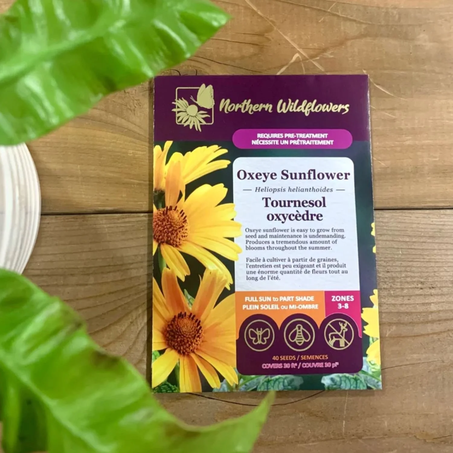 website photo template (10).jpg