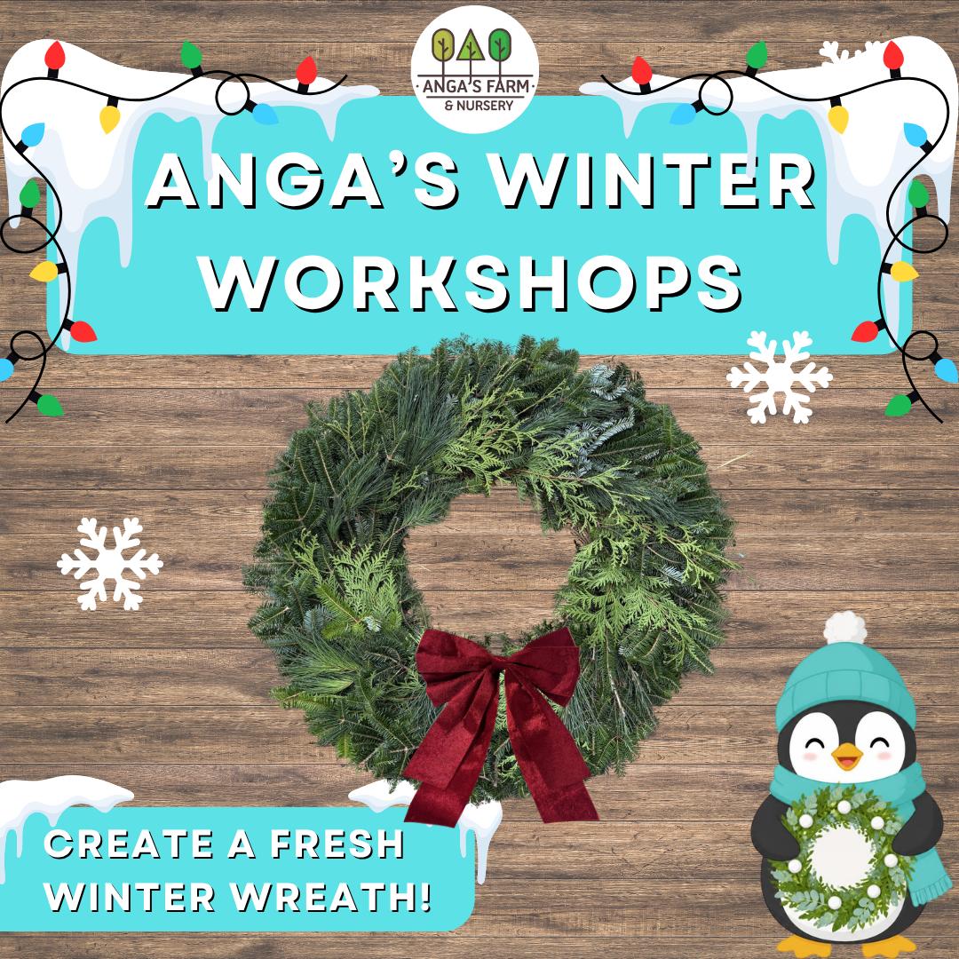 Anga’s Winter Workshops (6).png