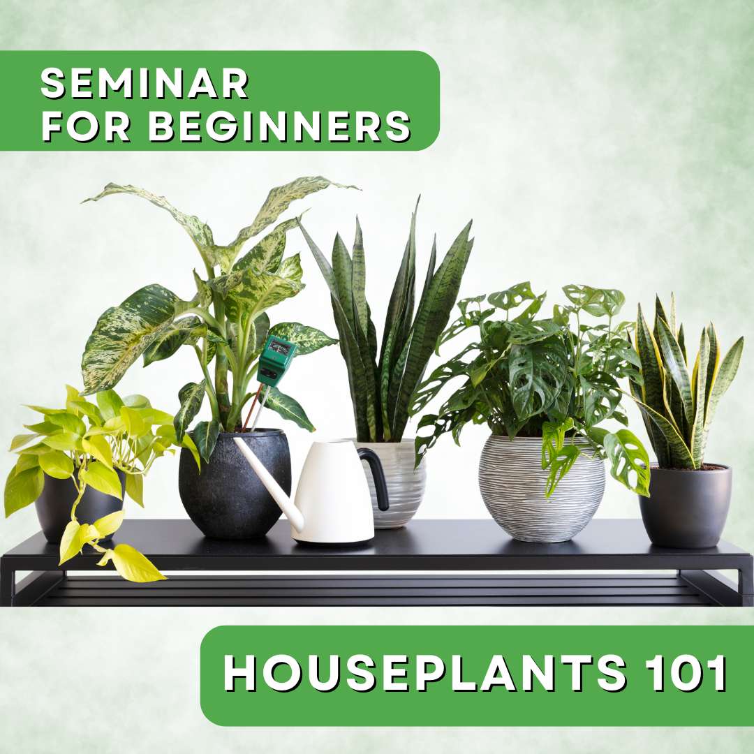 Seminar: Houseplants 101 for Beginners (Saturday, July 18, 2026 1:00 PM -2:00 PM)
