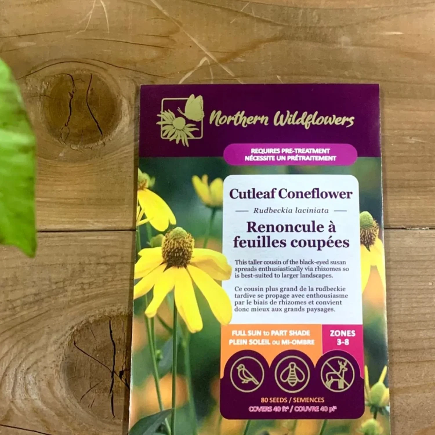 website photo template (35).jpg