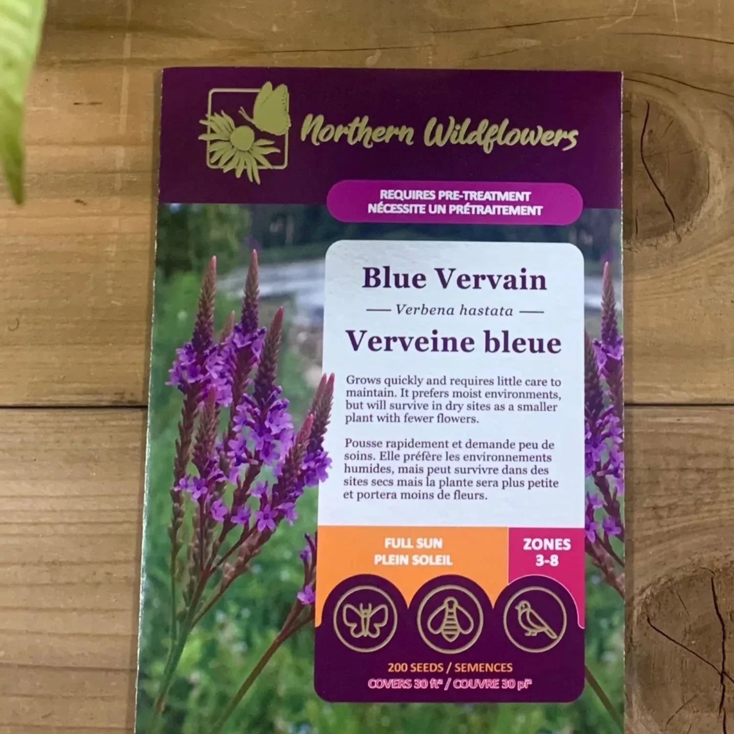 website photo template (26).jpg