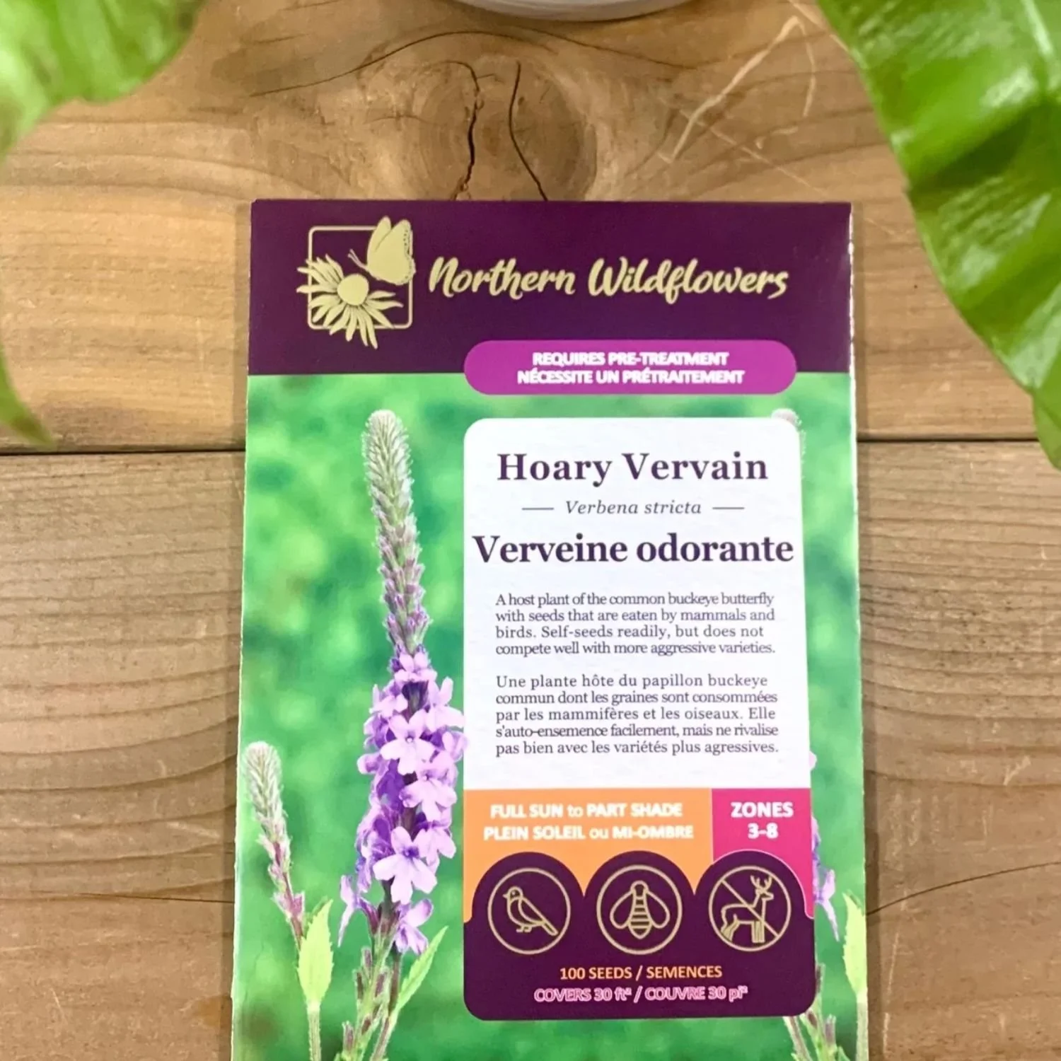 website photo template (32).jpg