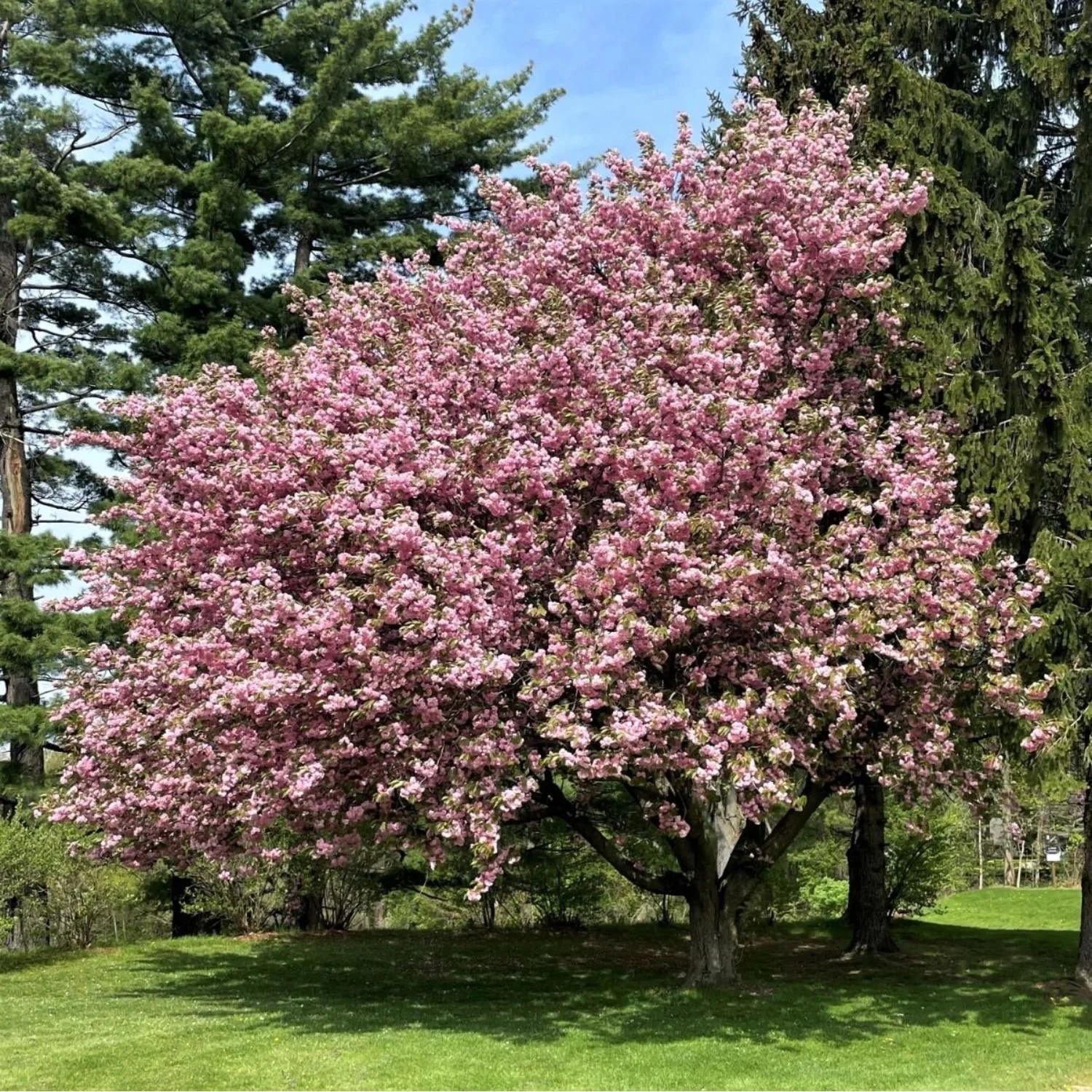 website photo template (17).jpg