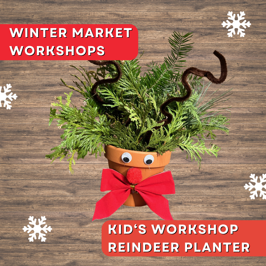 Anga’s Winter Workshops (23).png
