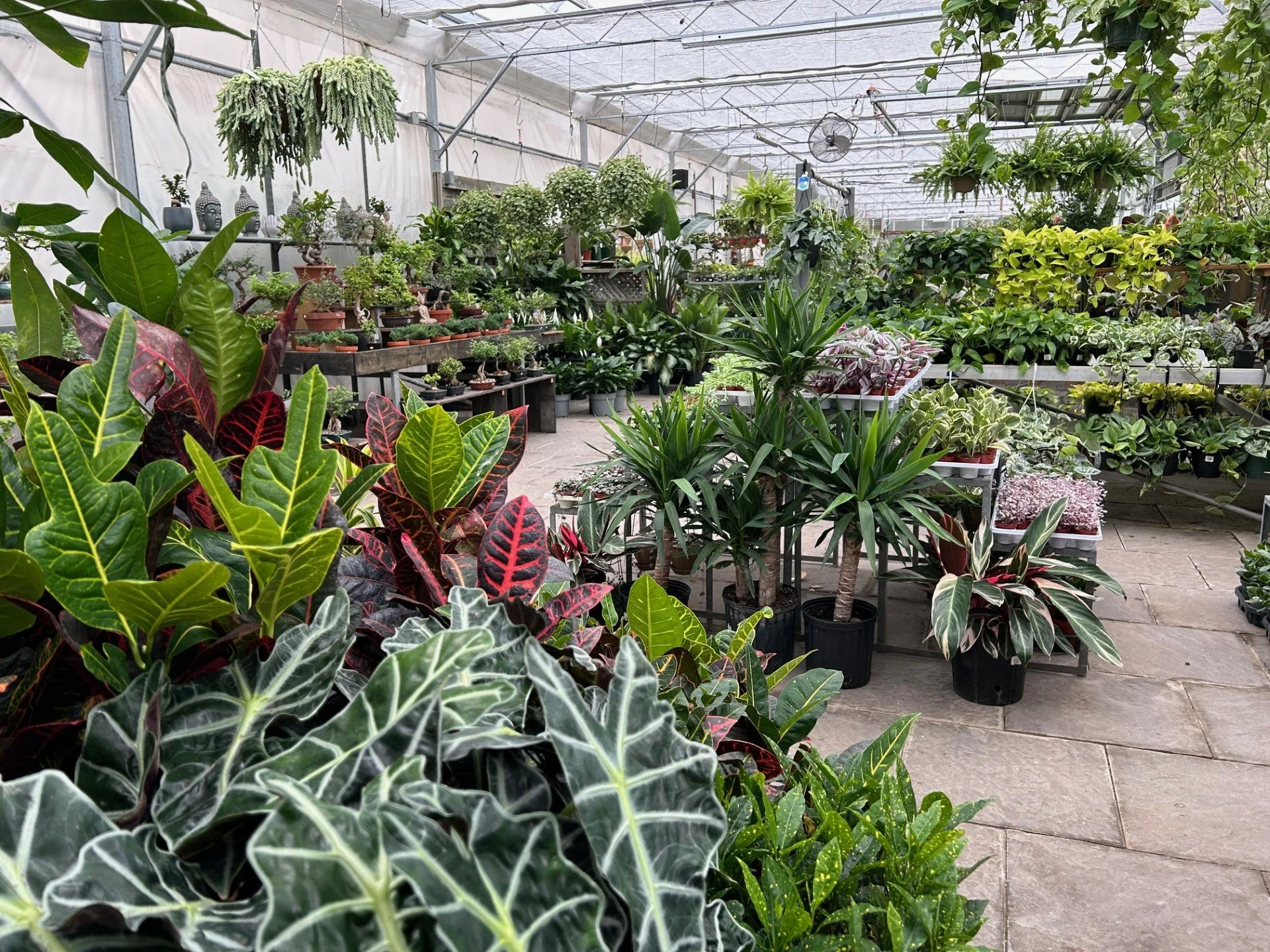 Anga's Farm & Nursery