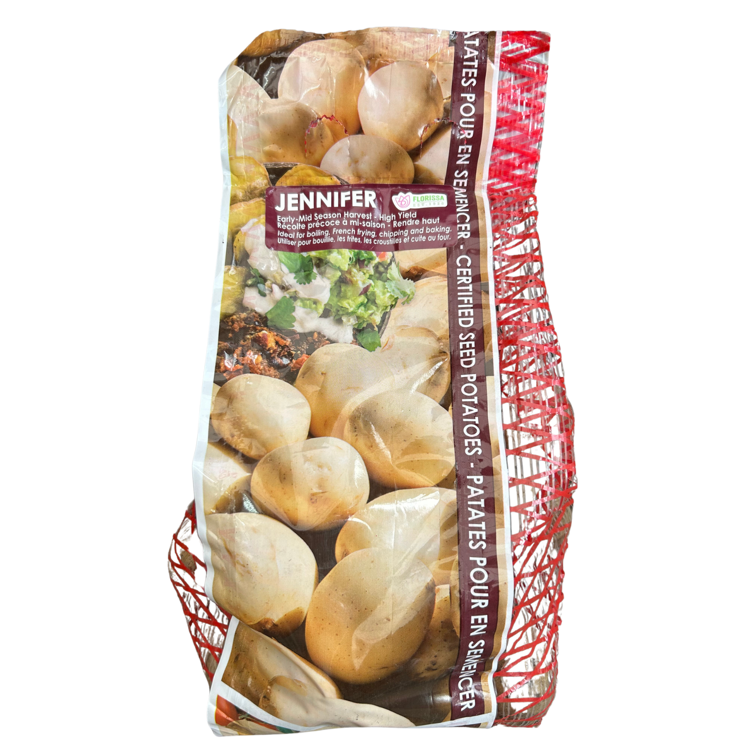 website photo template (2).png