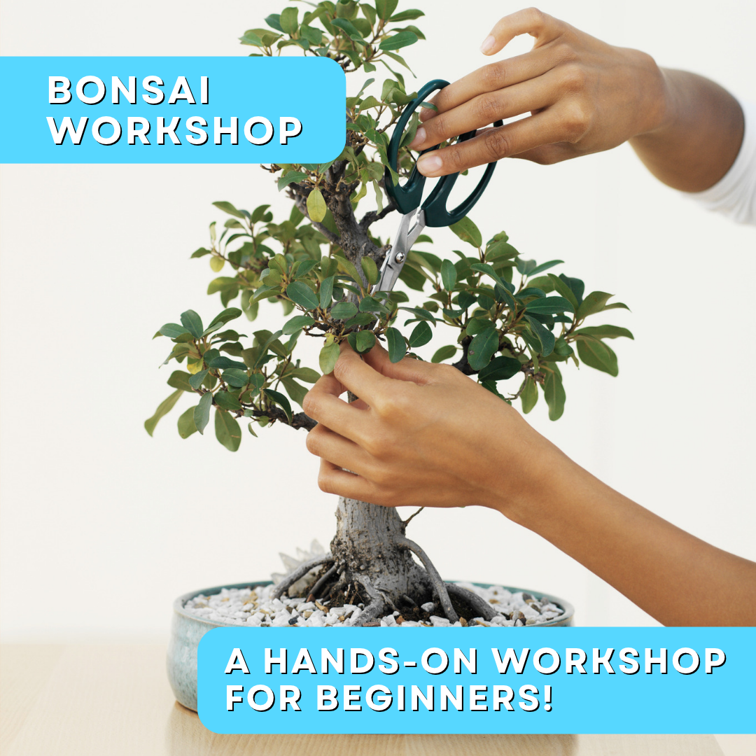 Workshops 2026 - 2026-10-21T072953.607.png