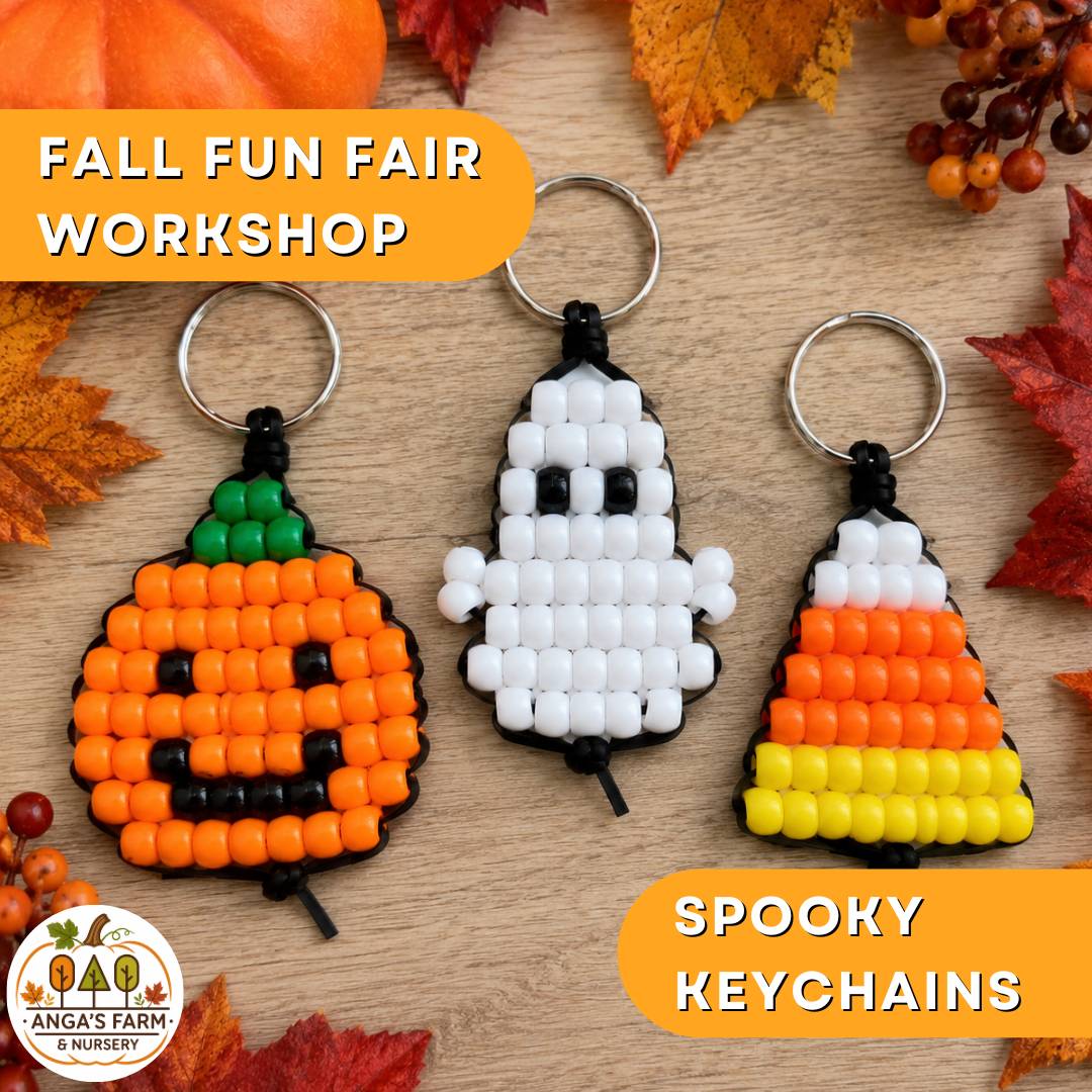 Spooky Beaded Keychain Workshop (For Fall Fun Fair Attendees Only)
