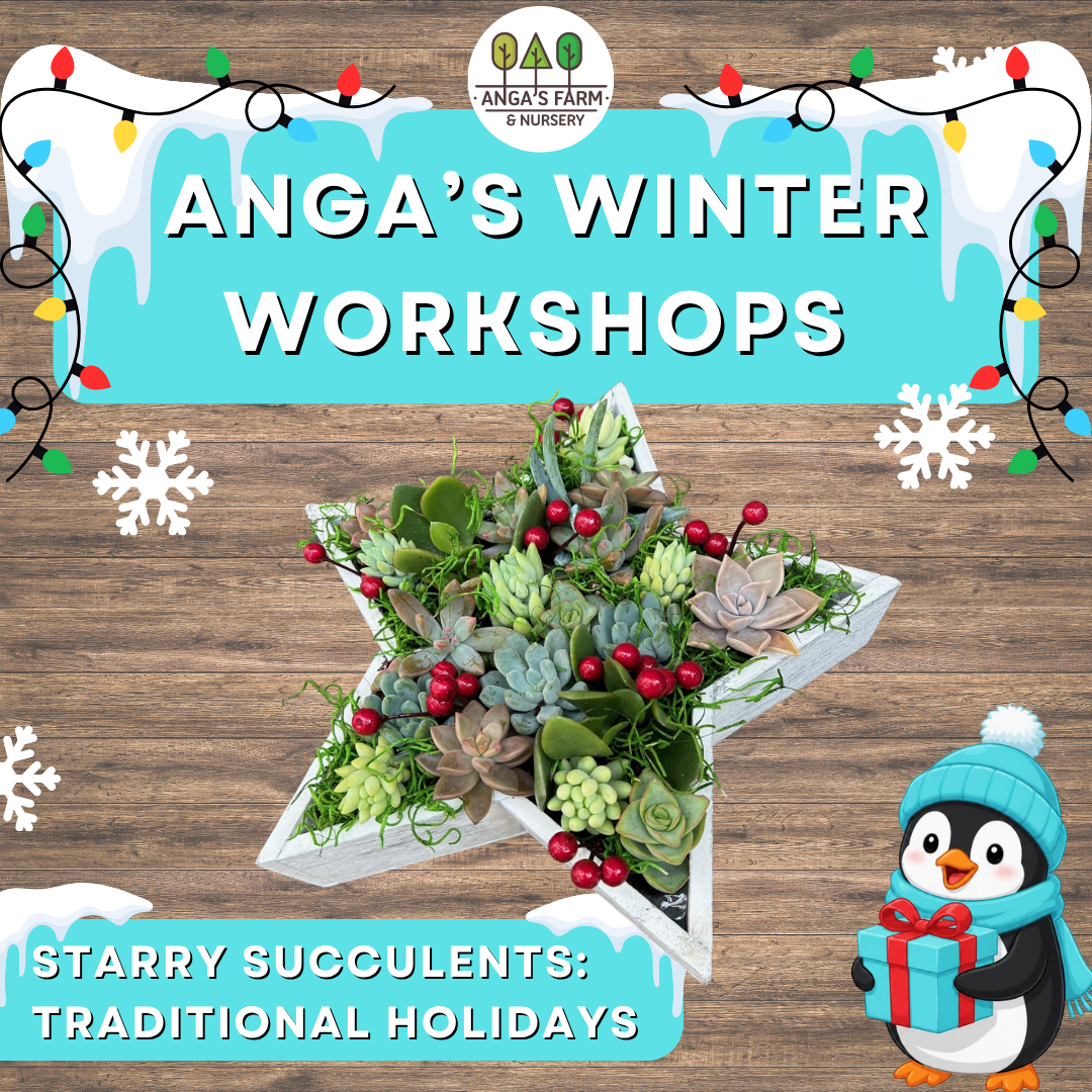 Anga’s Winter Workshops (7).png