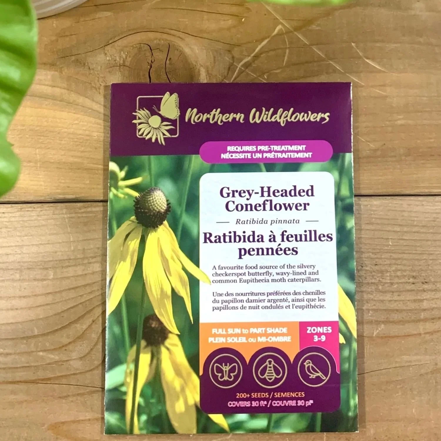 website photo template (30).jpg