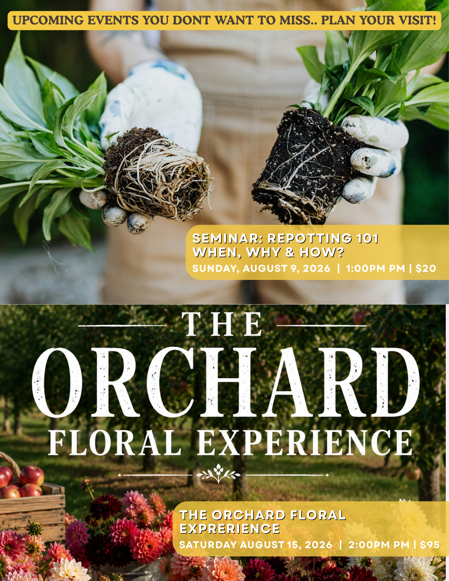 A person wearing gardening gloves holding potted plants in one hand with soil and roots visible, promoting an orchid floral experience event.