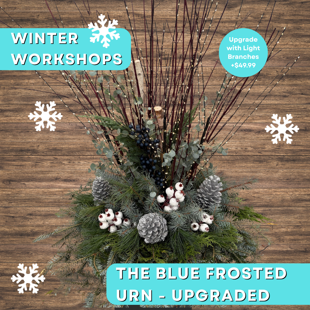 Anga’s WinterWorkshops (11).png