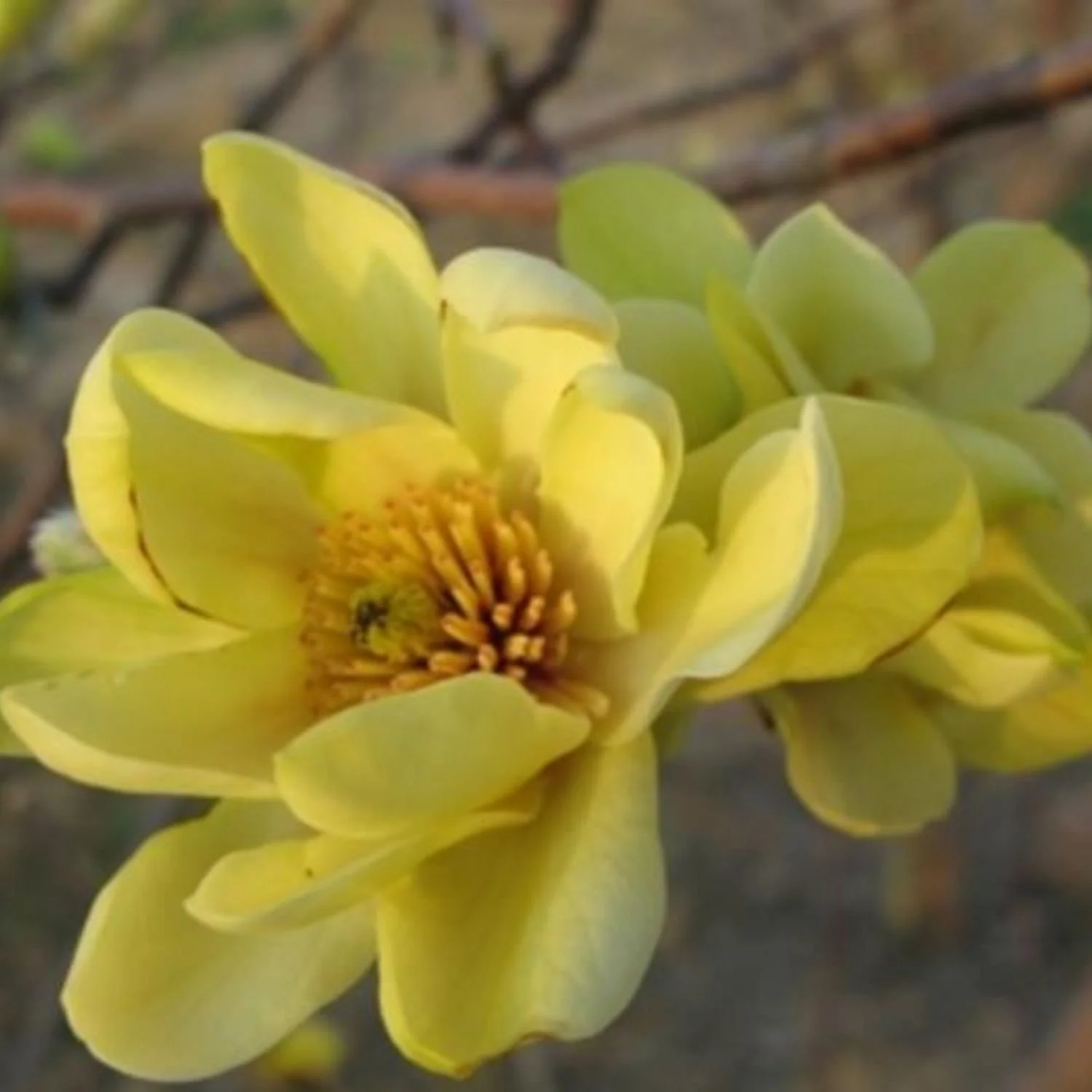 website photo template (2).jpg