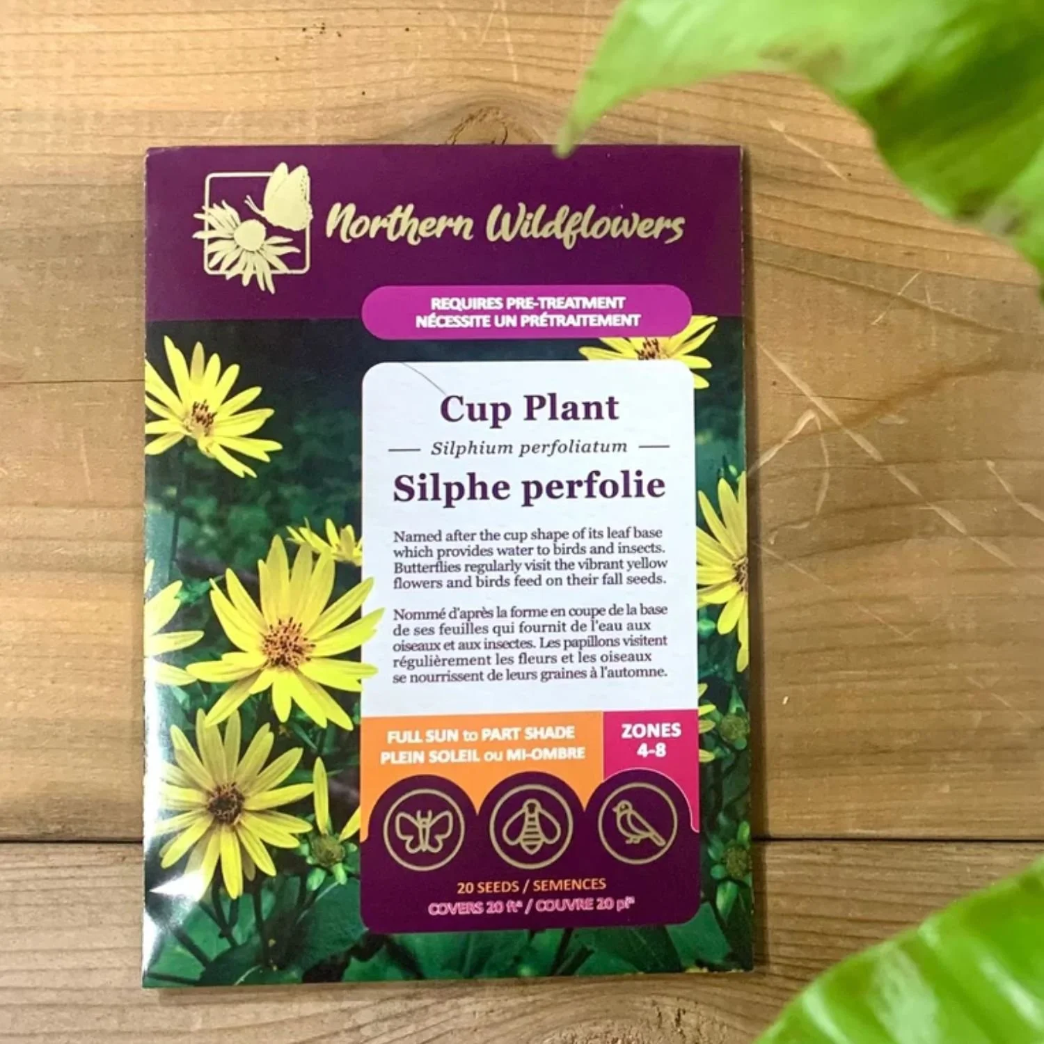 website photo template (17).jpg