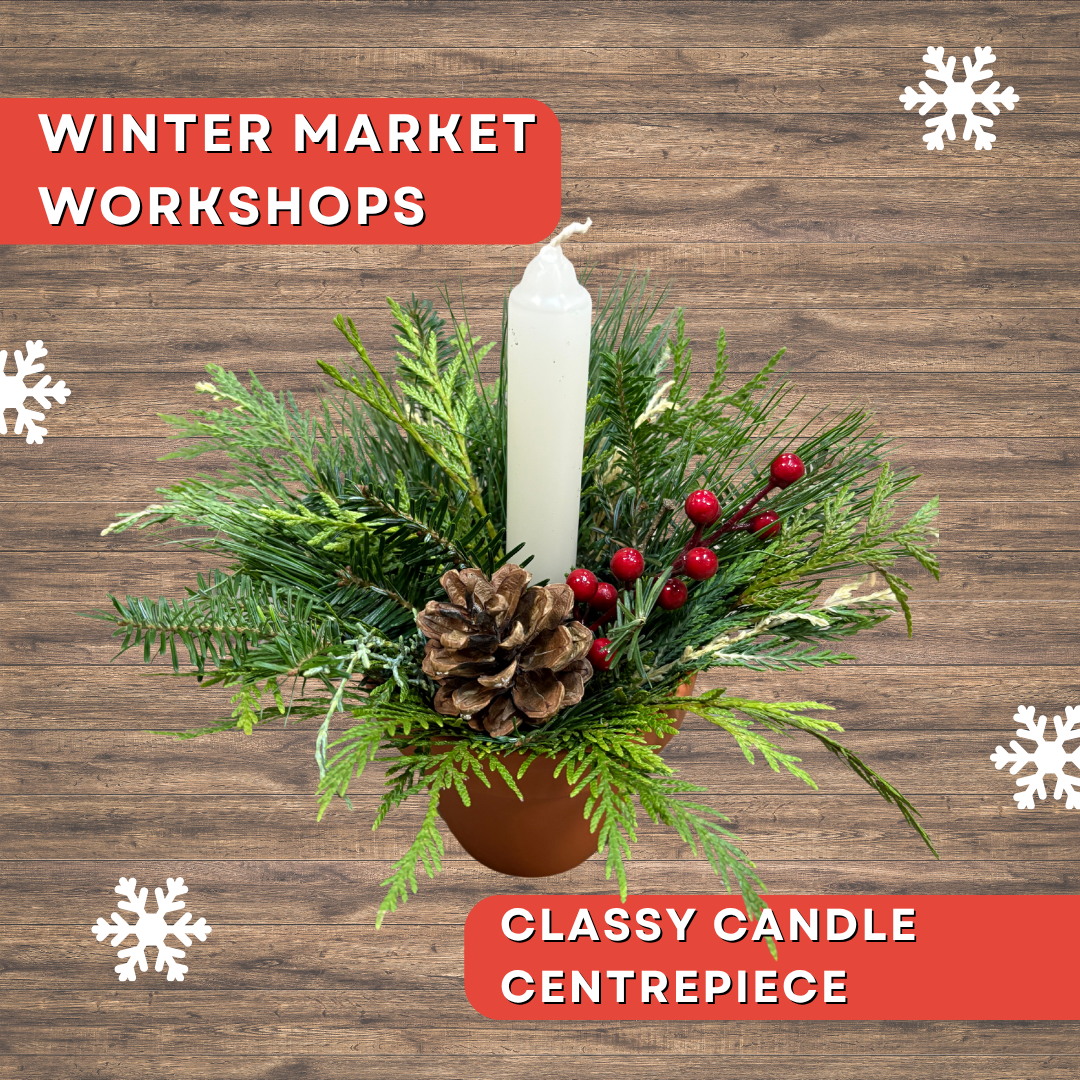 Anga’s Winter Workshops (25).png