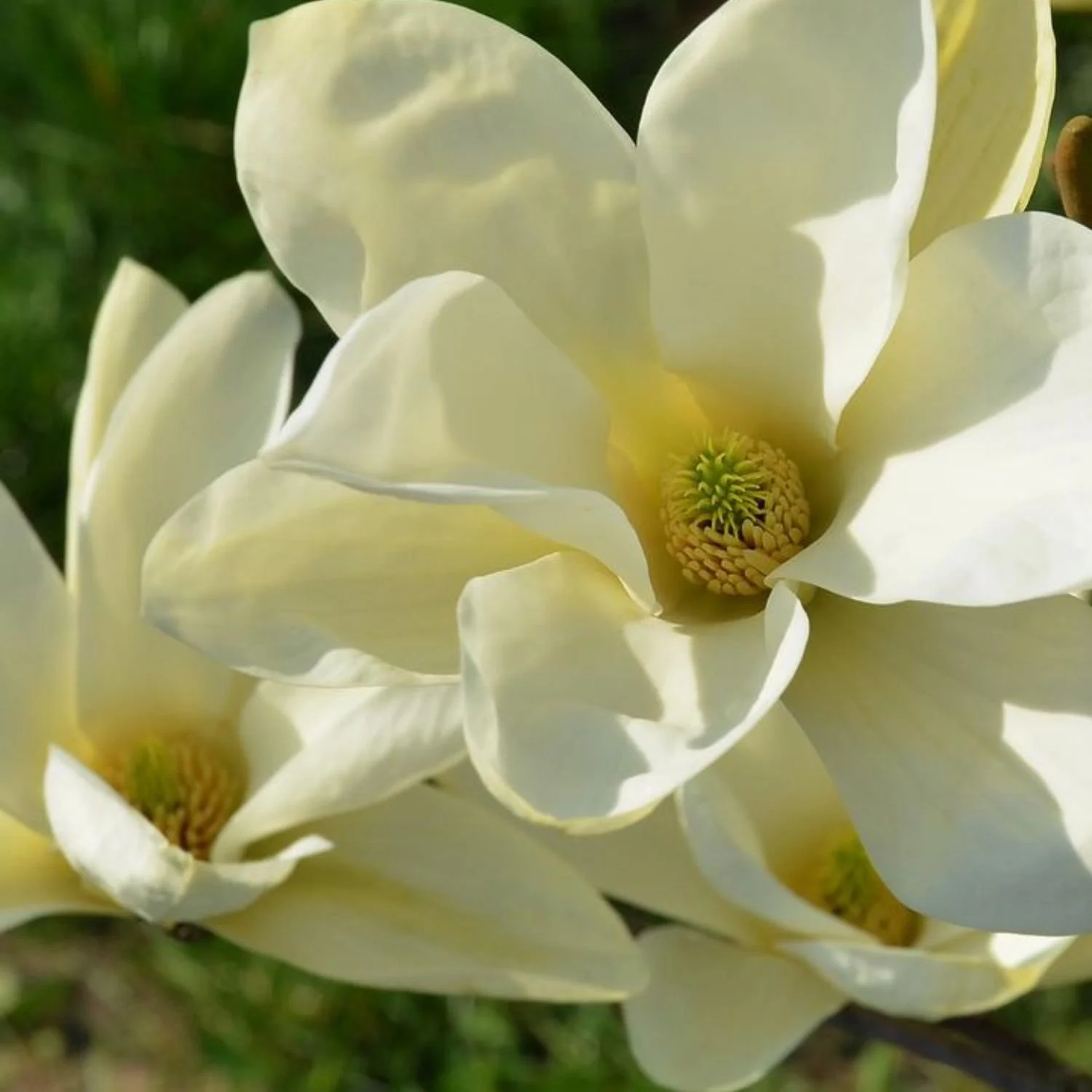 website photo template (6).jpg