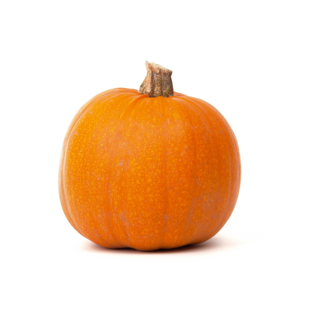 Pie Pumpkin