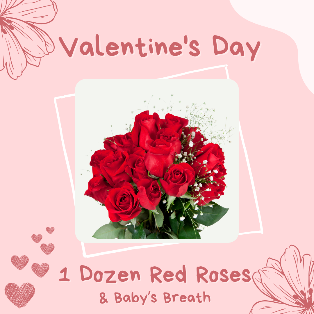 One Dozen Red Roses with Baby’s Breath