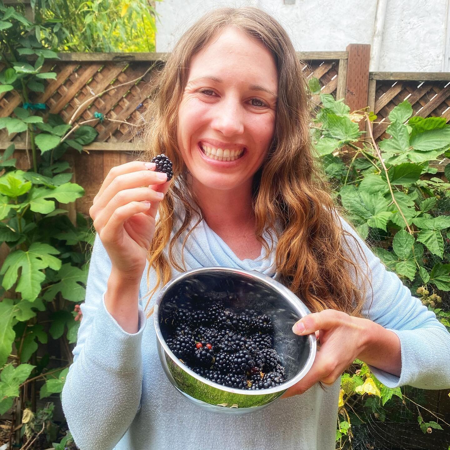 My very first blackberry harvest from our yard! 

Clearly they are Orion-approved&hellip;What, you never seen a &ldquo;black(berry) eye&rdquo; before?!?

#gardening #blackberries #blackberry #babyeating #local