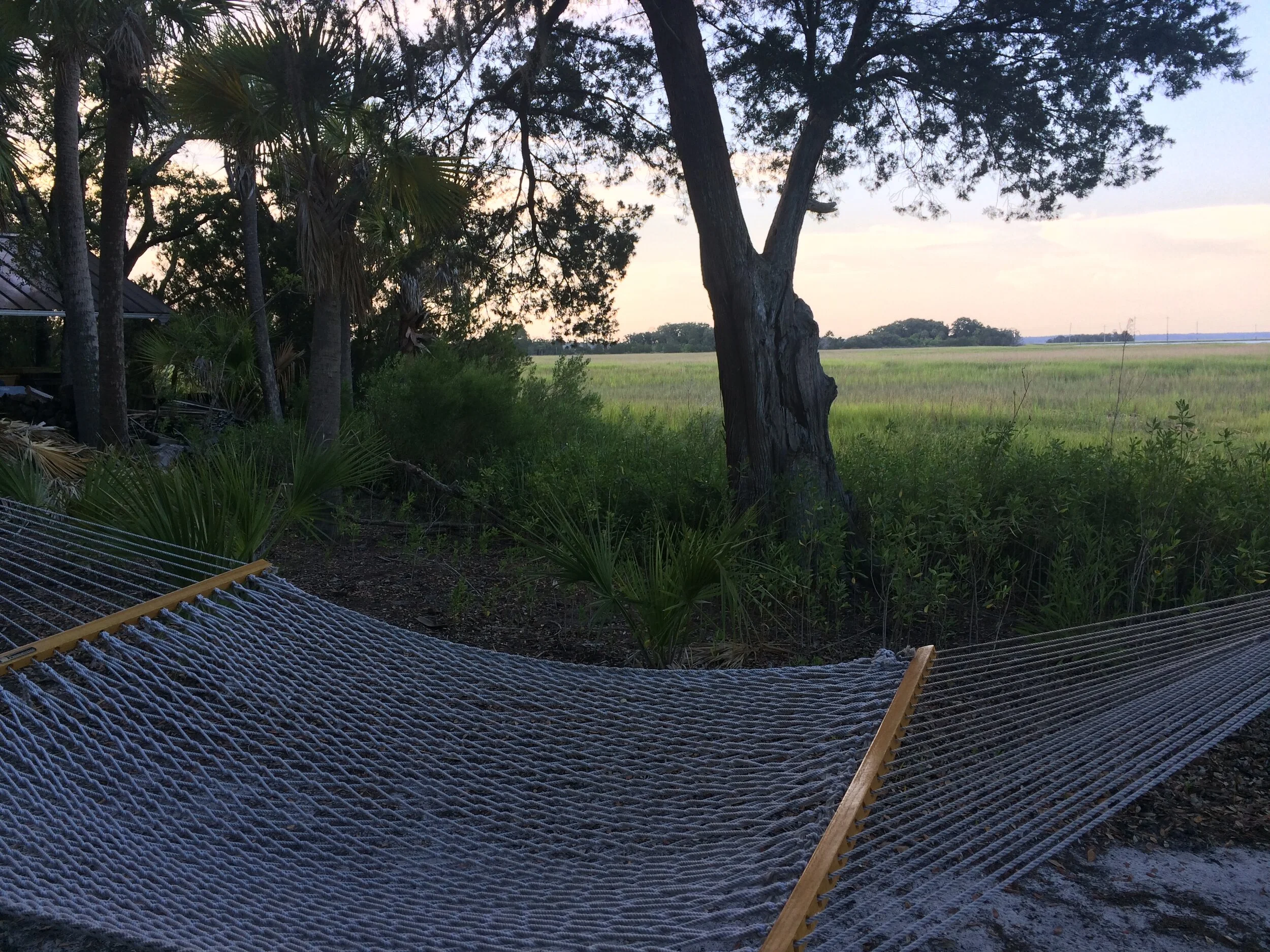 Page island Hammock .JPG