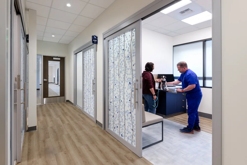 Bellevue Veterinary Emergency + Specialty — JPC Architects