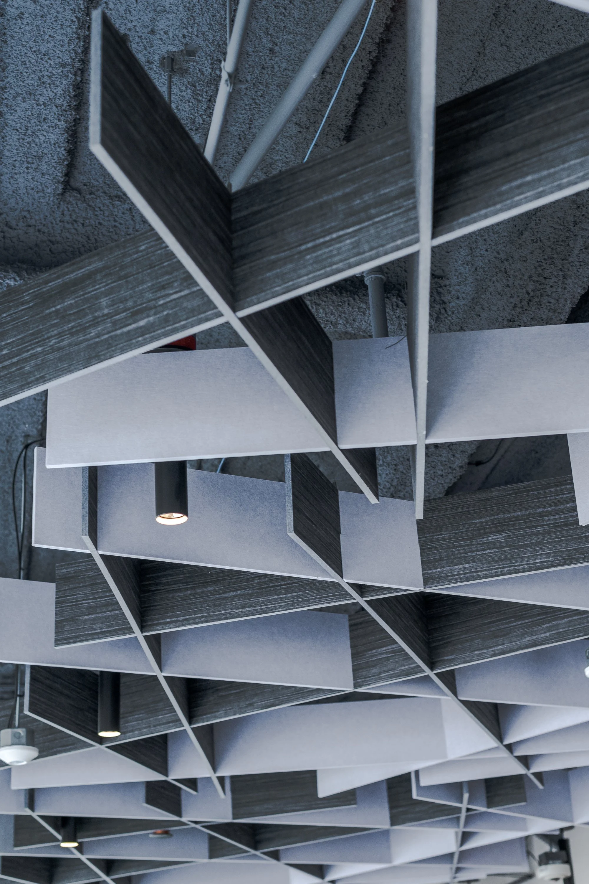 Pokemon LSN Details (17).jpg