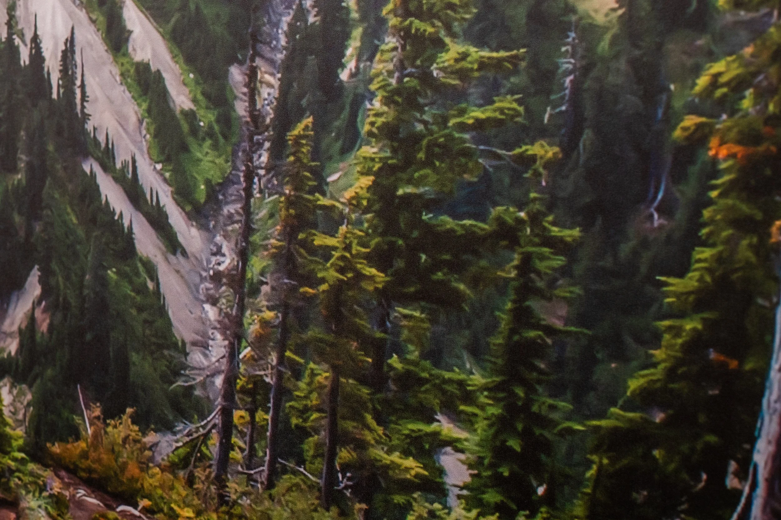 T-Mobile Bellingham - Details-10.jpg