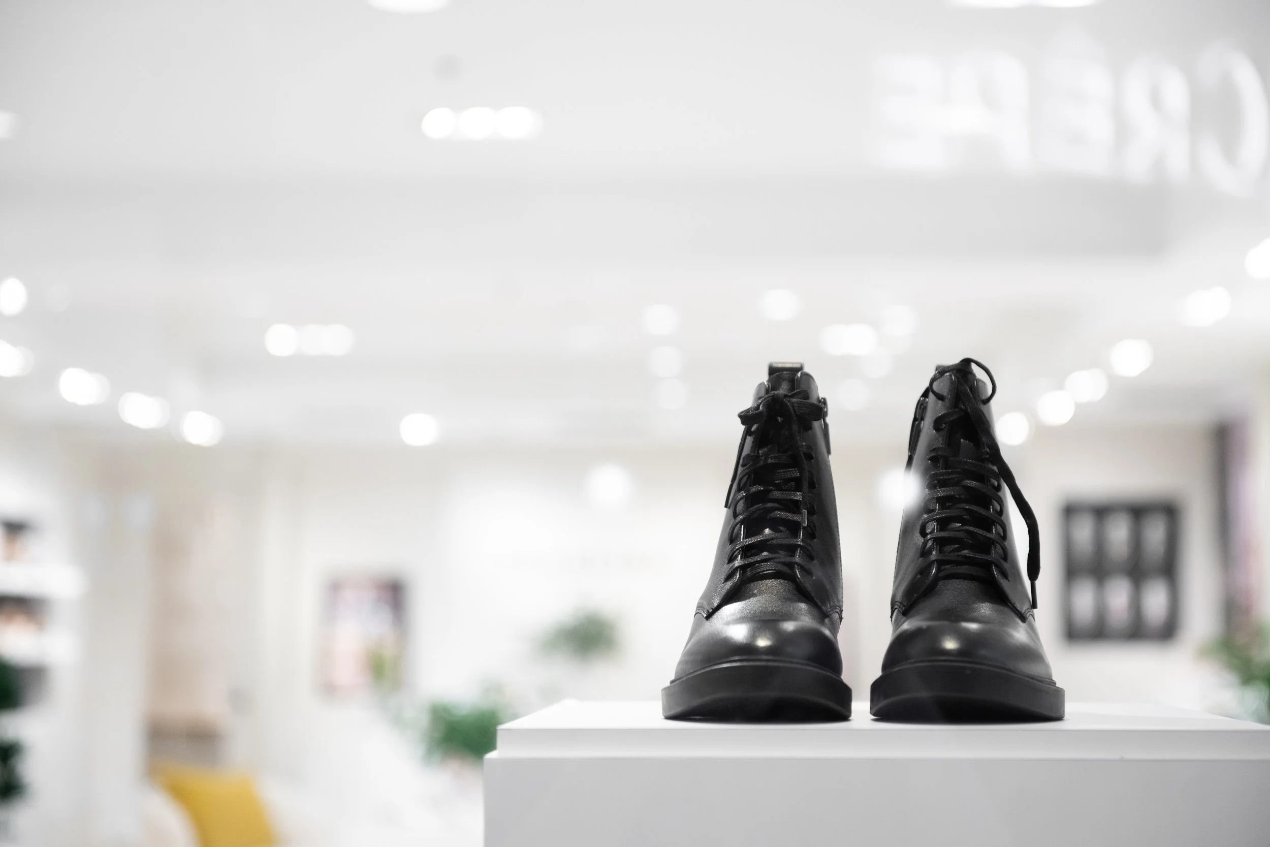 Frankie4_Bellevue Sq (8).jpg