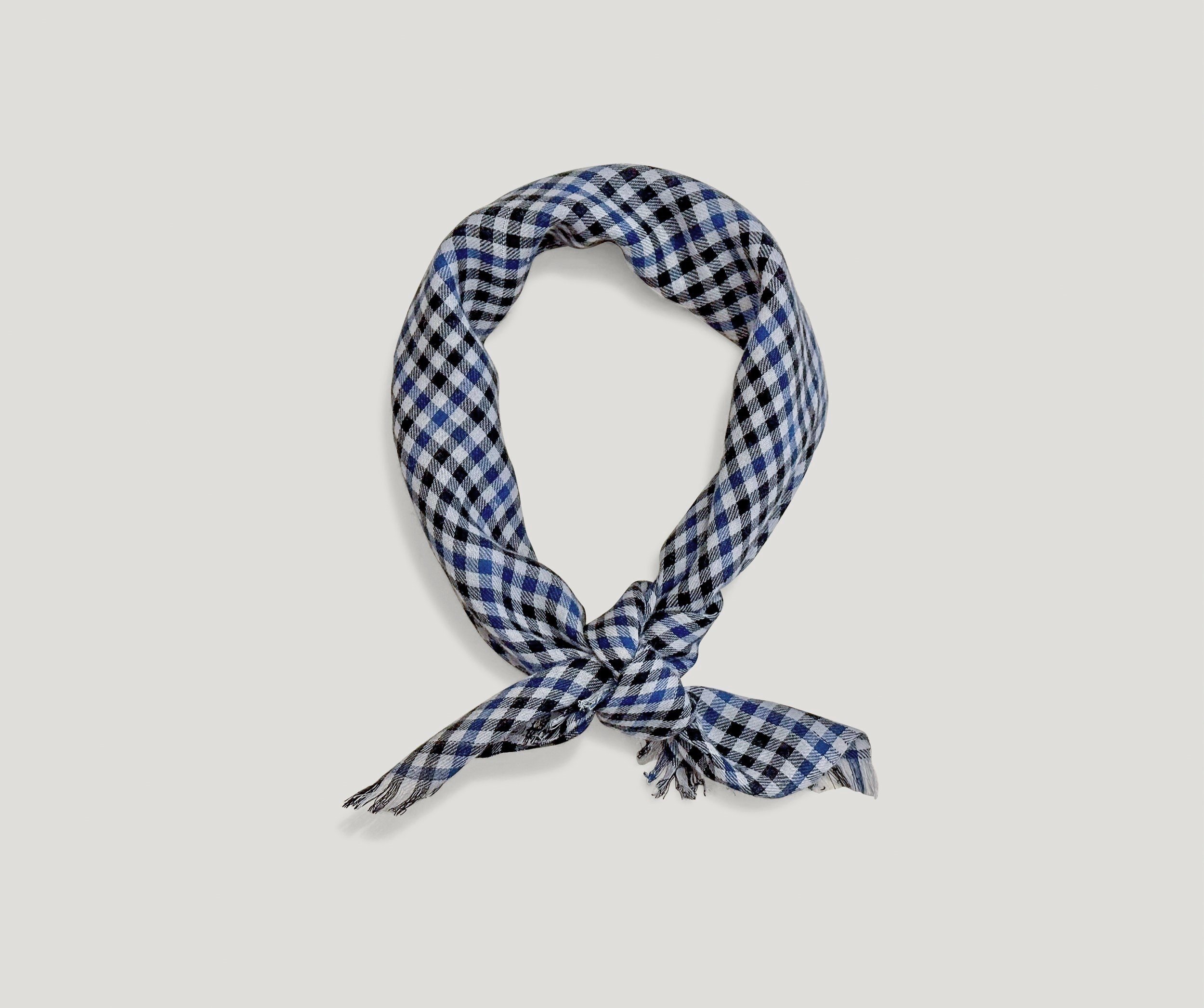 AW%2B24%2BW-05%2B%2Bsmall%2Bcheck%2Bneck%2Bscarf_.jpg