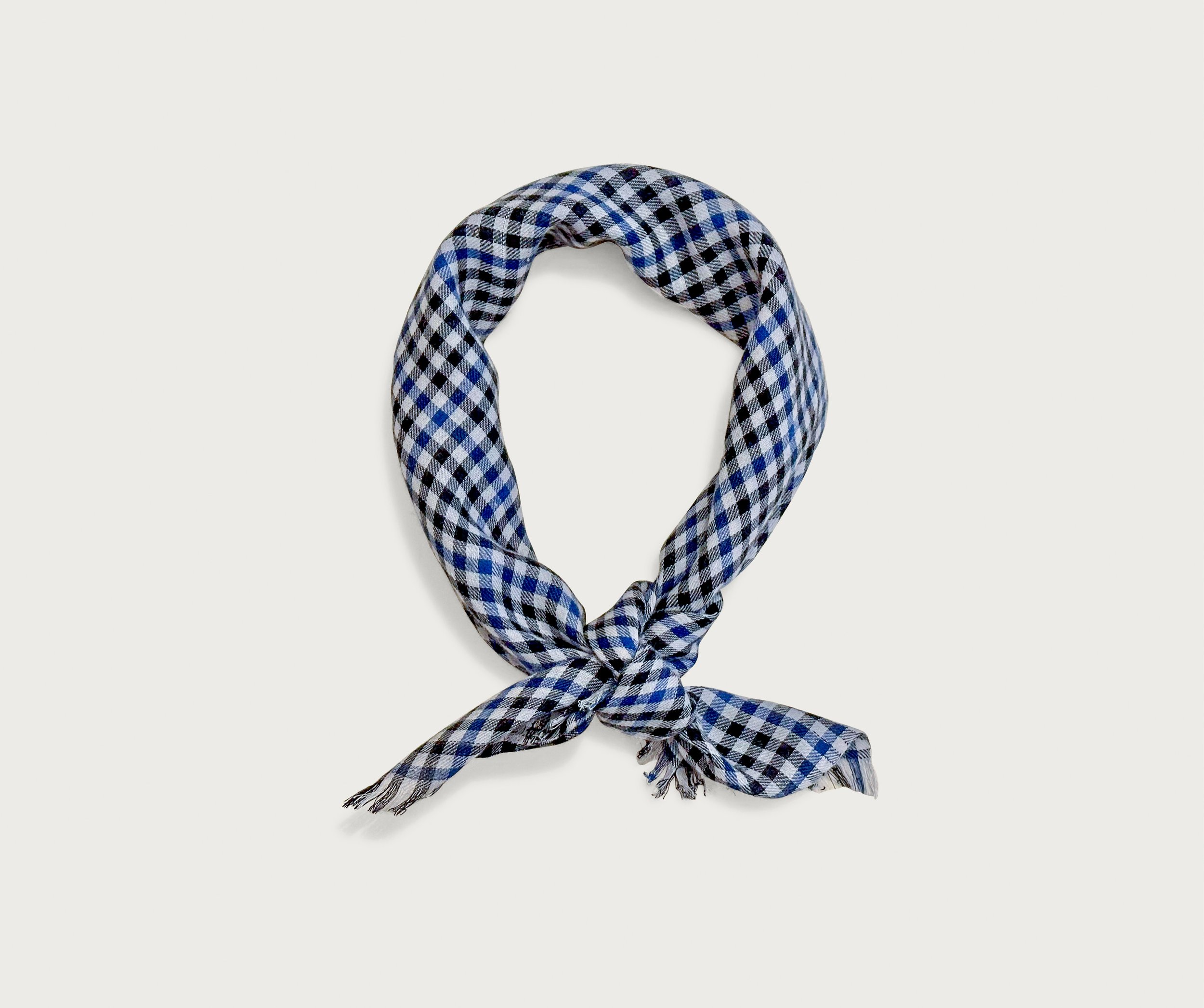 AW 24 W-05  small check neck scarf_.jpg