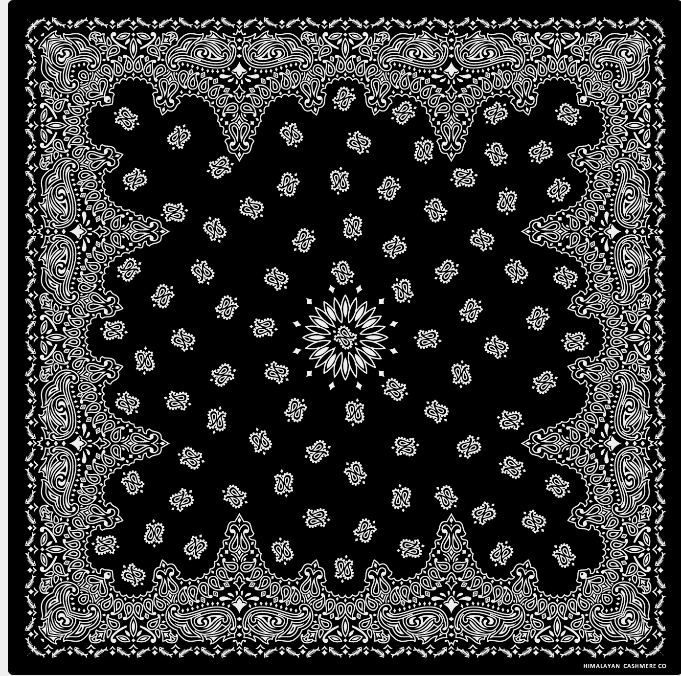 Screenshot+2025-07-31+at+16.11.10.png
