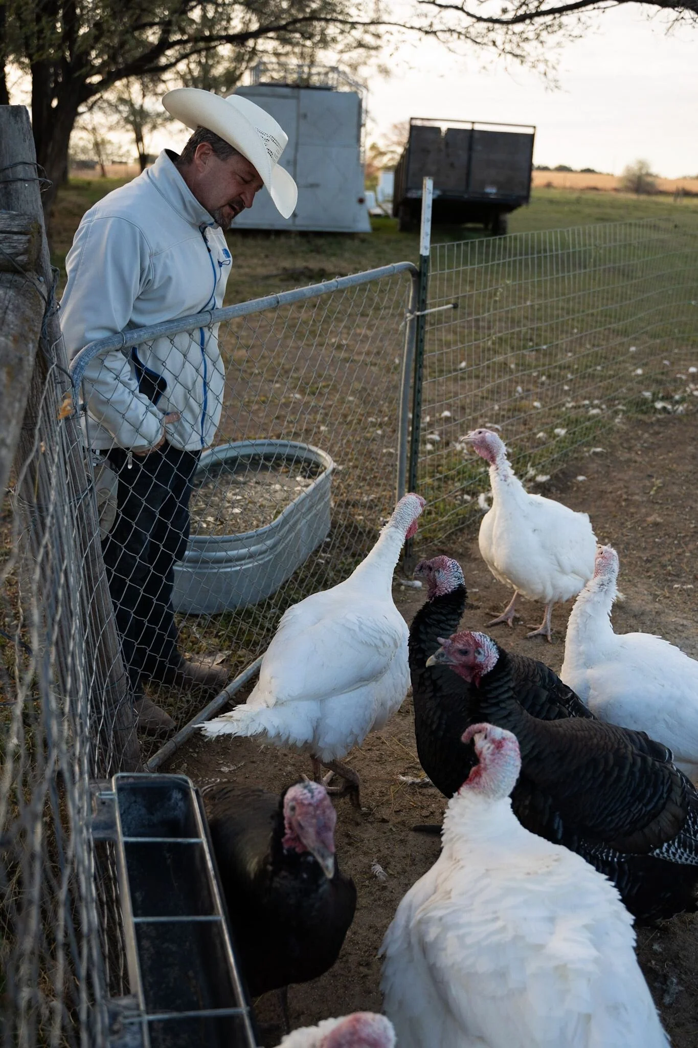 Will You Gobble Up a Local Gobbler?