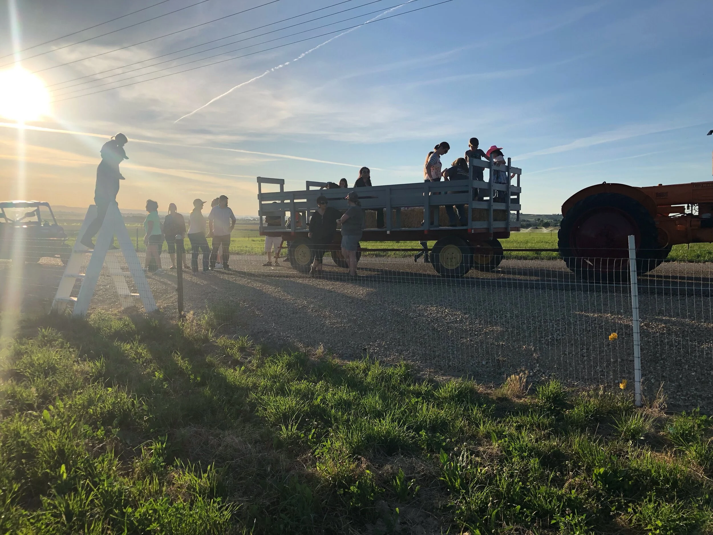 McIntyre Pastures’ Farm Tours Keep Selling Out – Here’s Why