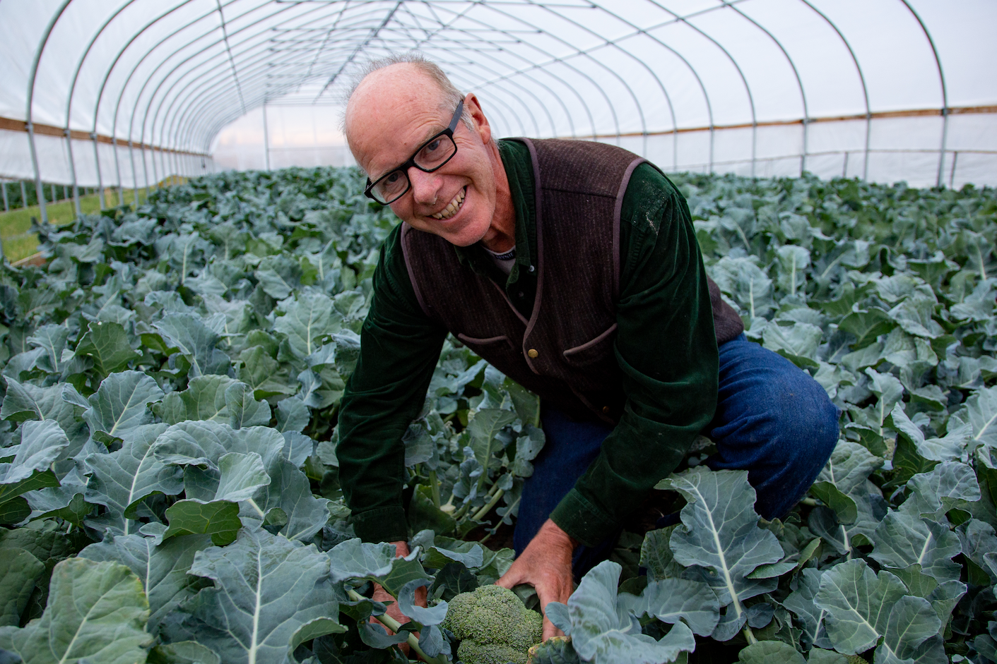 How Purple Sage Farms – Award-Winning Local Organic Herb and Greens Farm – Almost Didn’t Exist