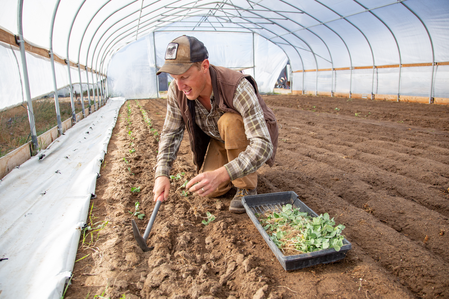 How Can Community Involvement Affect Your Business? For Purple Sage Farms, It Helped Save Them