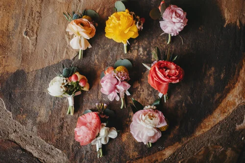 Welcome to the Laurel Blog!