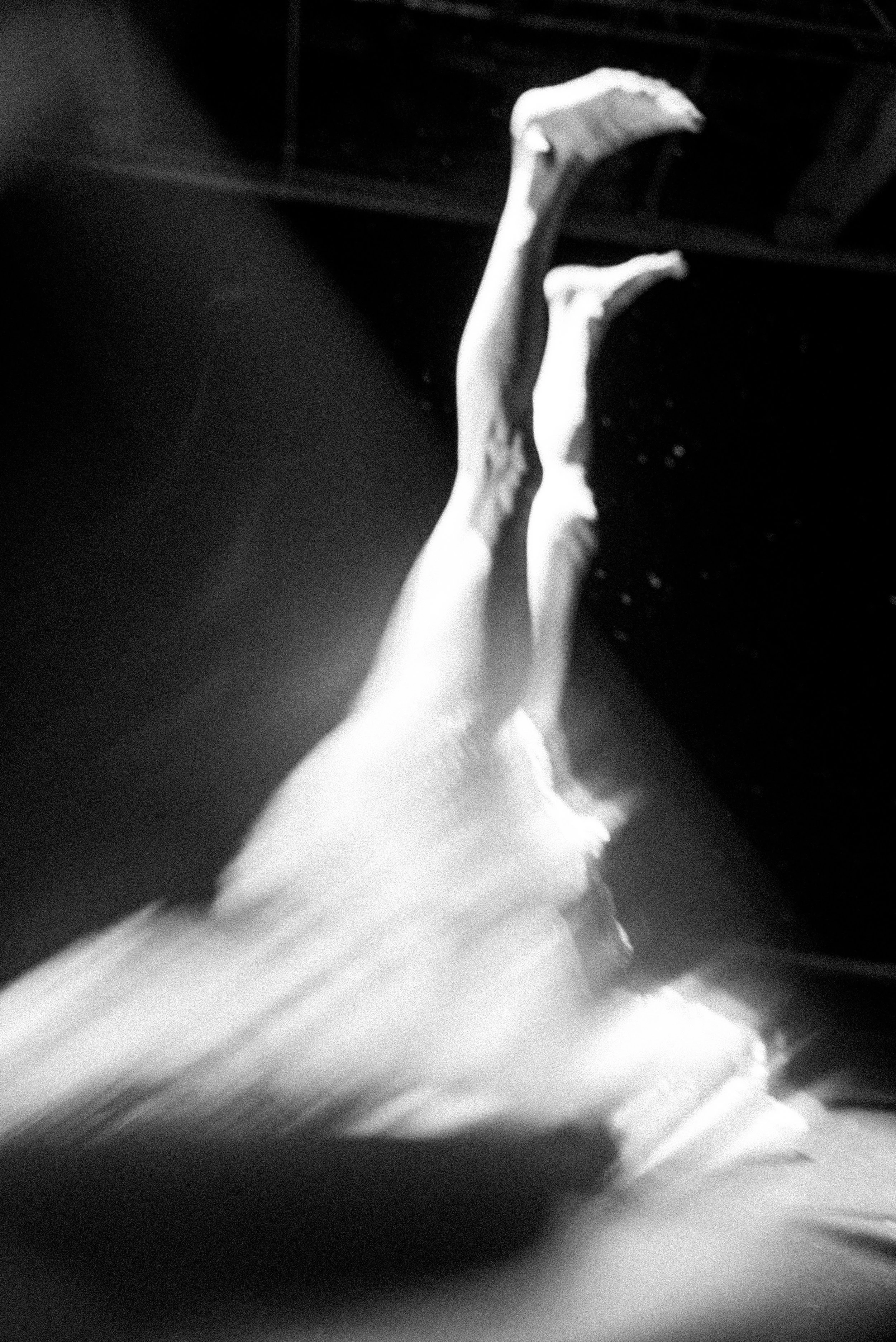 DSC05124.jpeg
