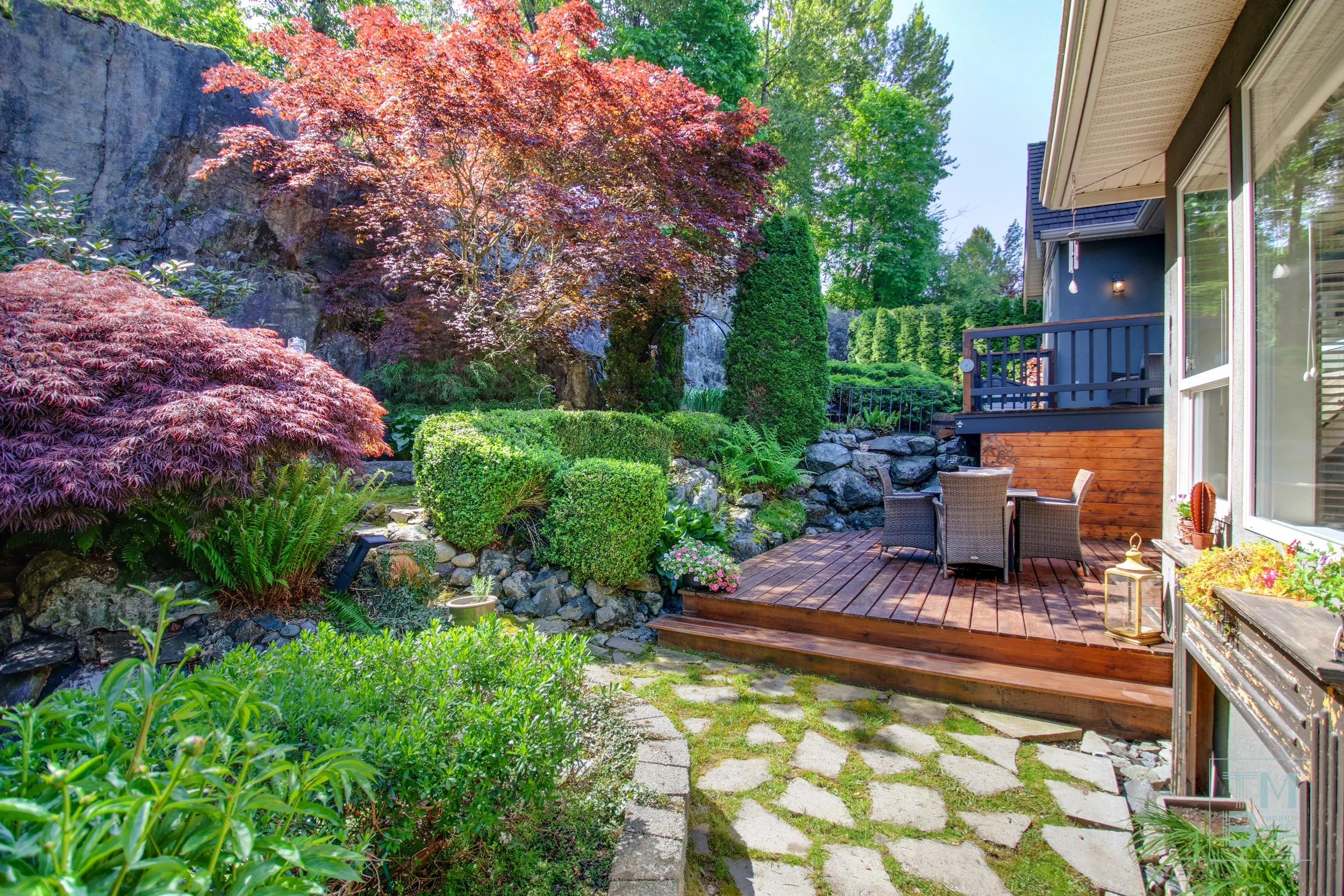 Backyard.jpg