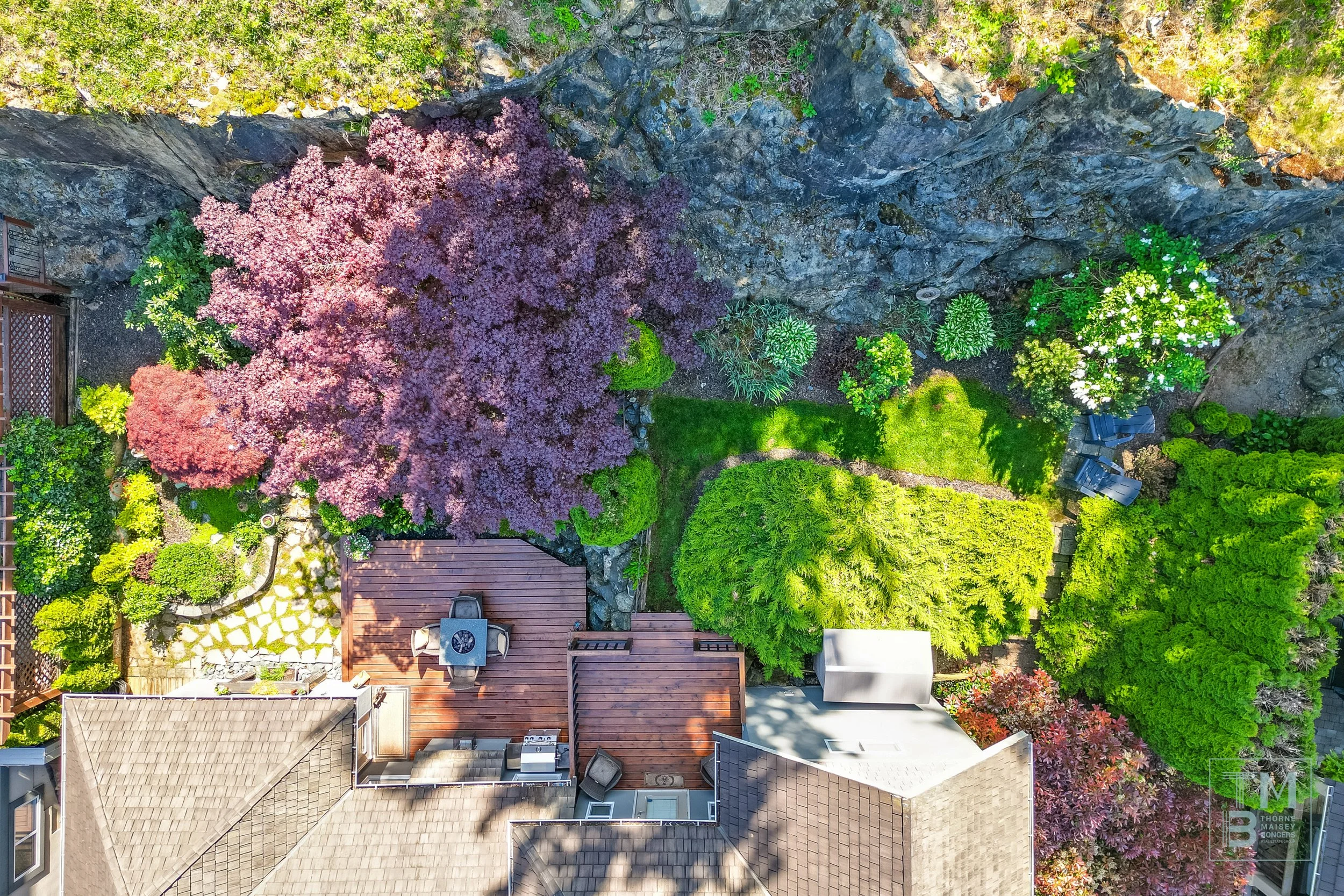 Overhead_Backyard.jpg