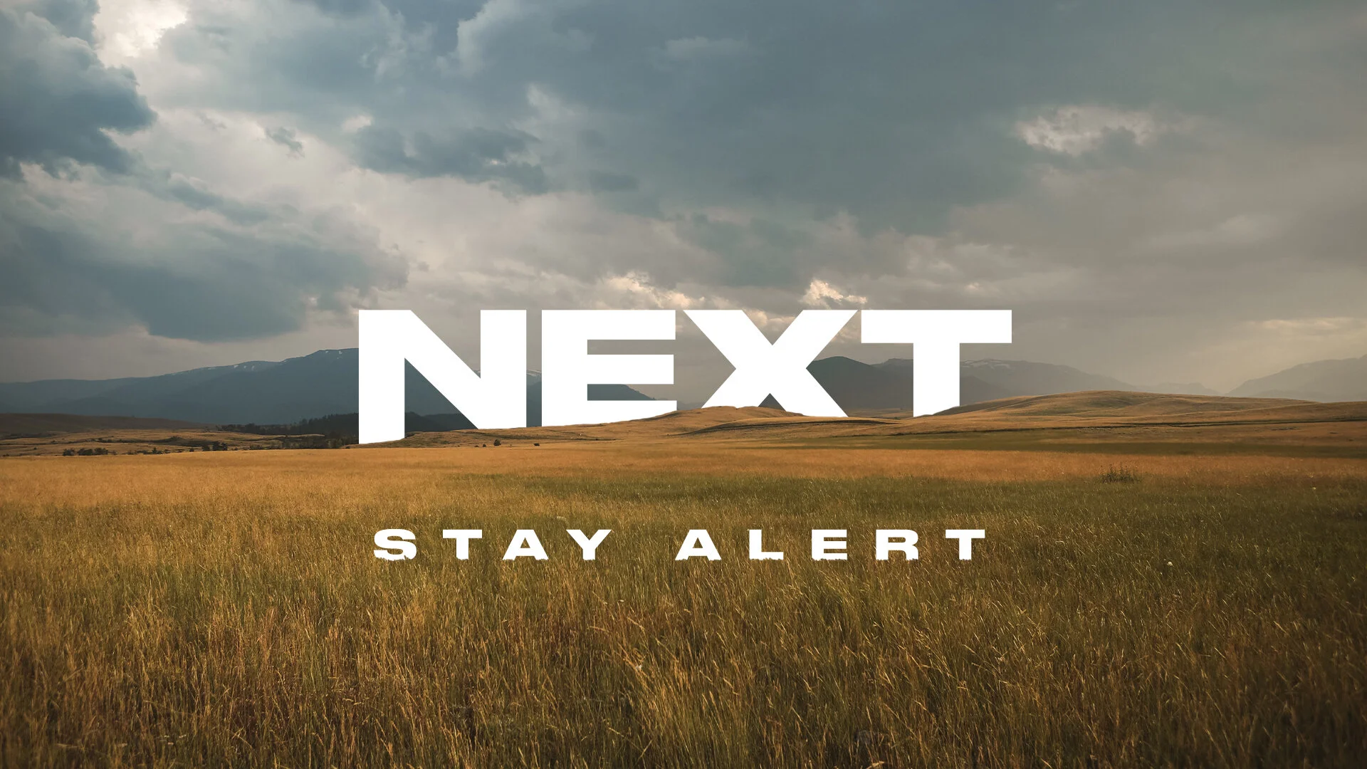 Next (Stay Alert)