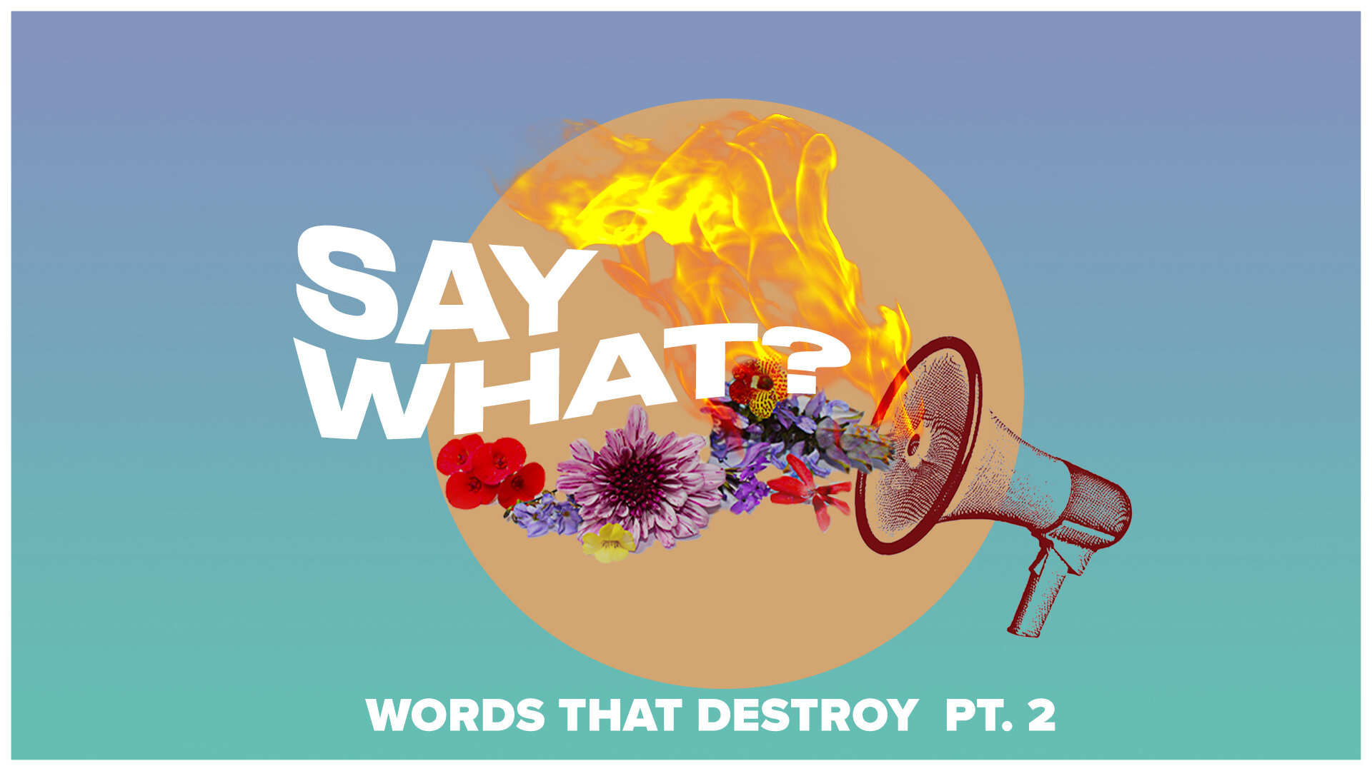 Say What? (Words that Destroy Pt. 2)