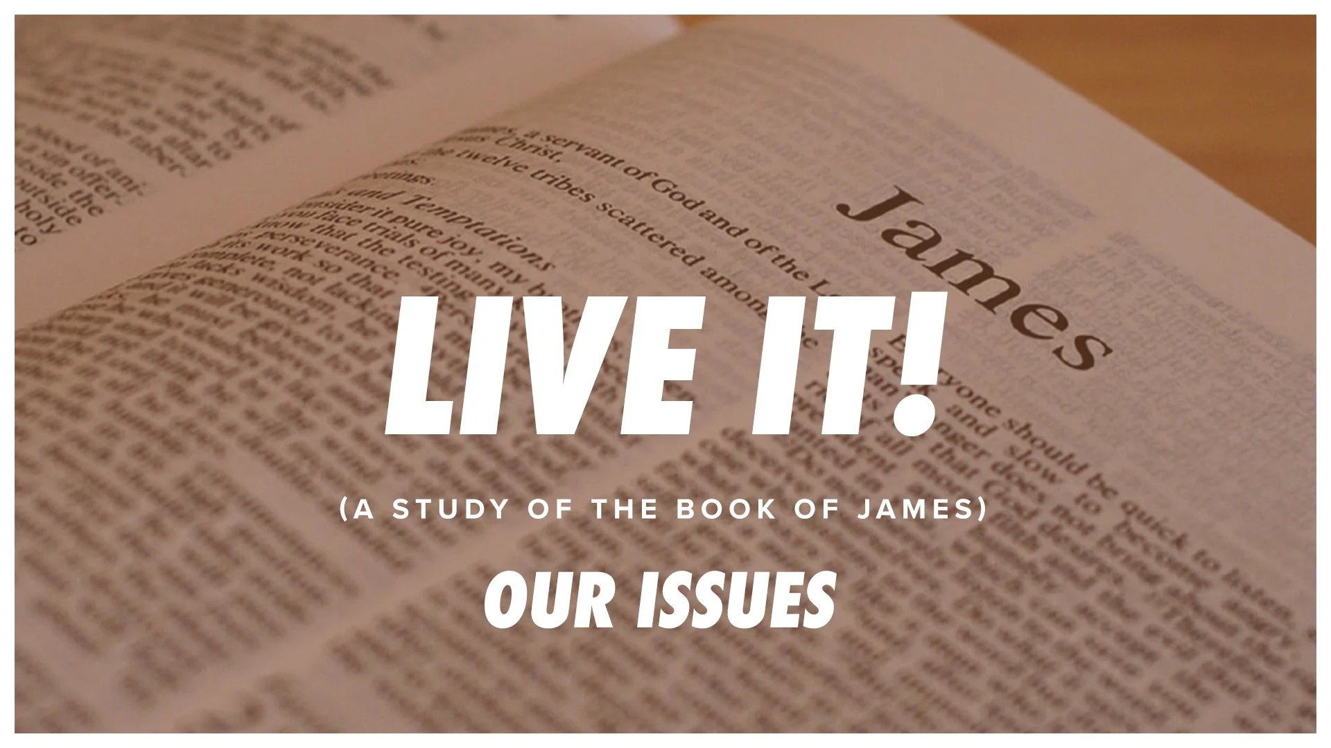 Live IT! (Our Issues)