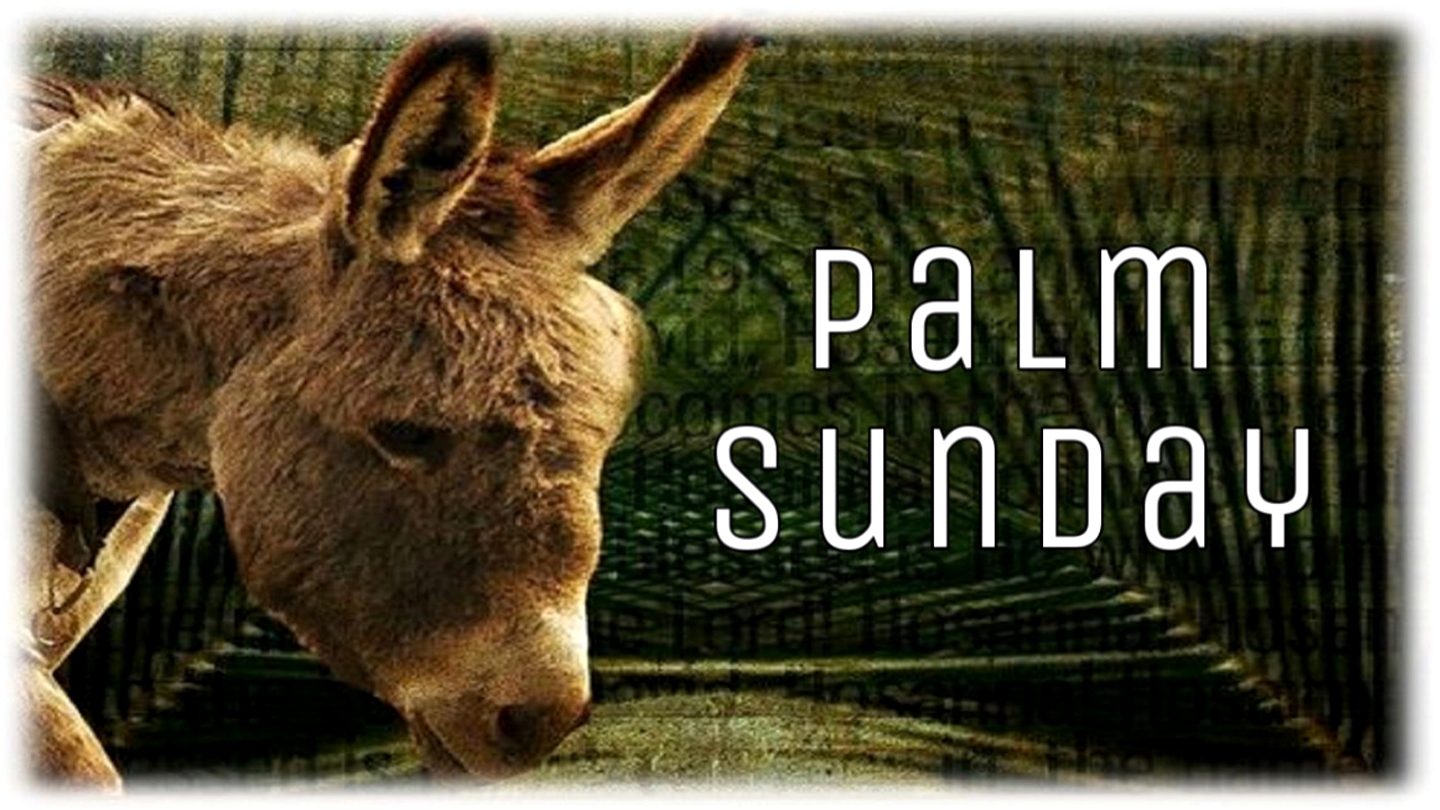 Palm Sunday