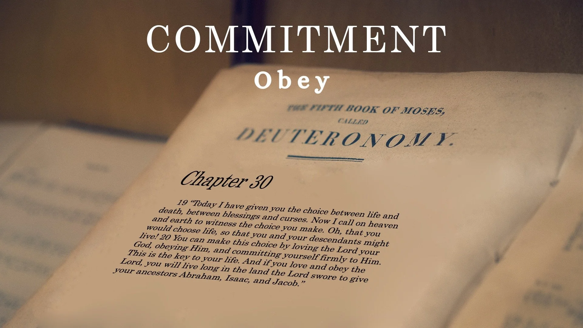 Commitment (Obey) 05/15/2022