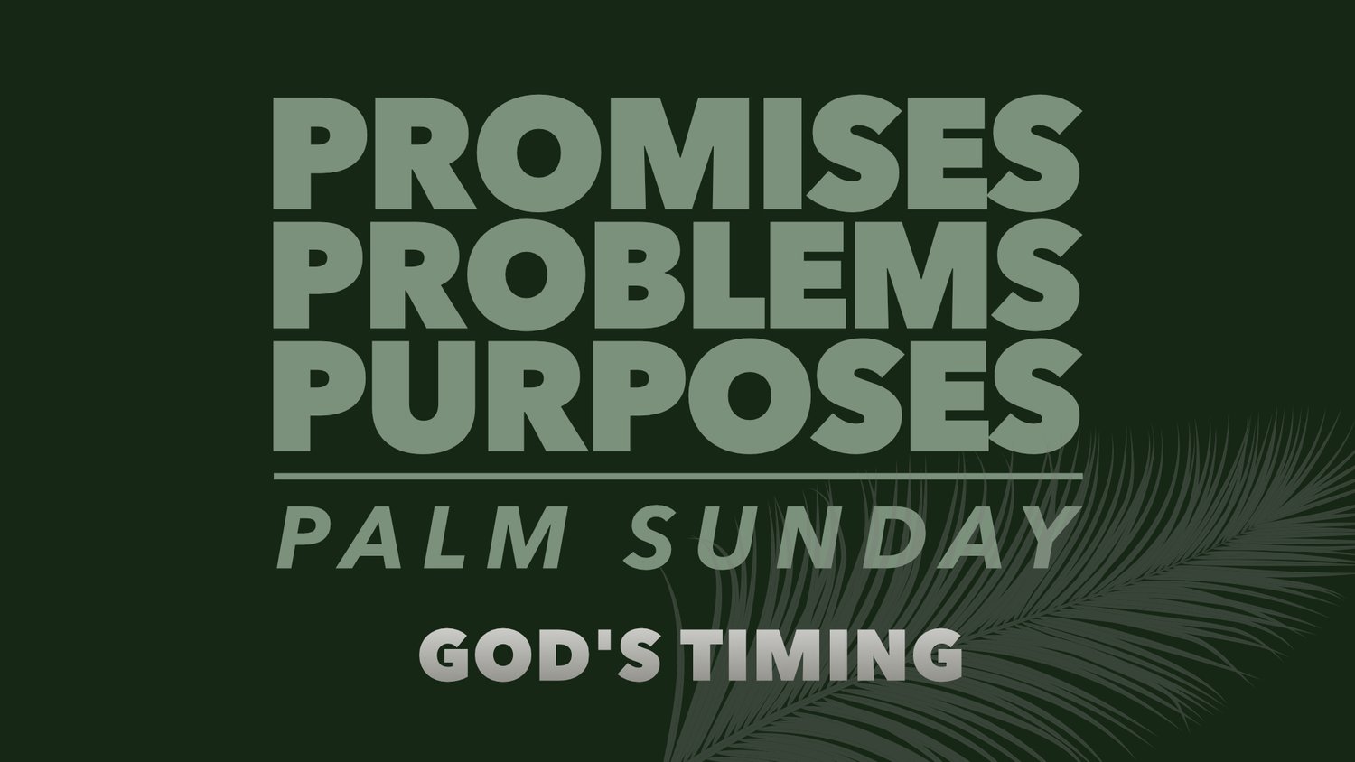 3/24/24 Promises, Problems, Purposes: God's Timing