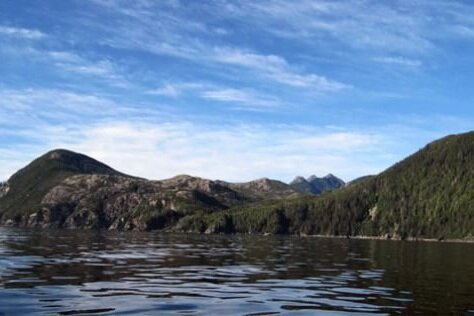 PC: North Pacific Kelp