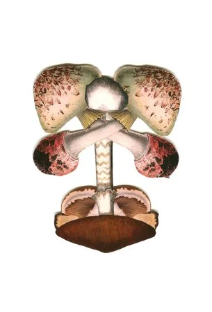Howie Tsui - Flared Nostrils from Bad Trip, New Religion & Regeneration collage 2012