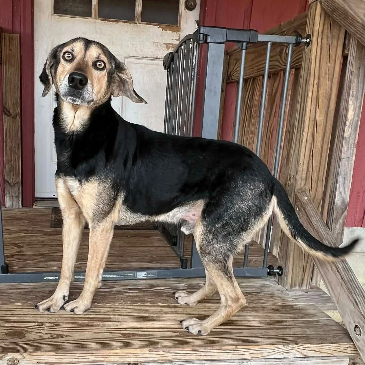 f065d908-300c-4987-afdd-3560686dc2eb (1).jpeg