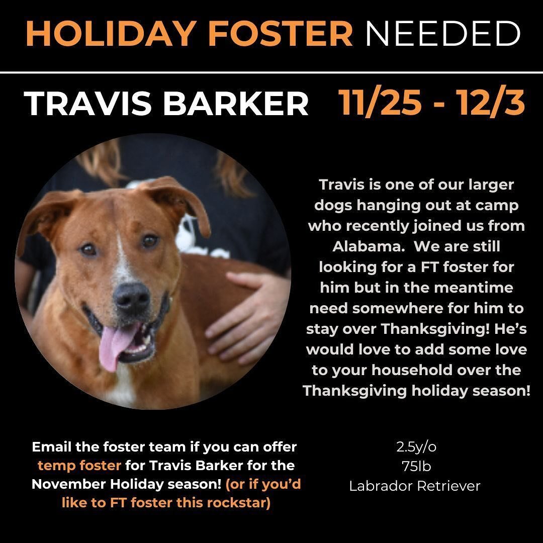 You are all amazing! We are winding down to our last few holiday temp requests and then we can all sit back and enjoy some well deserved time with our loved ones and cuddle with a Badass. 

If you are able to provide temp either of these cuties email