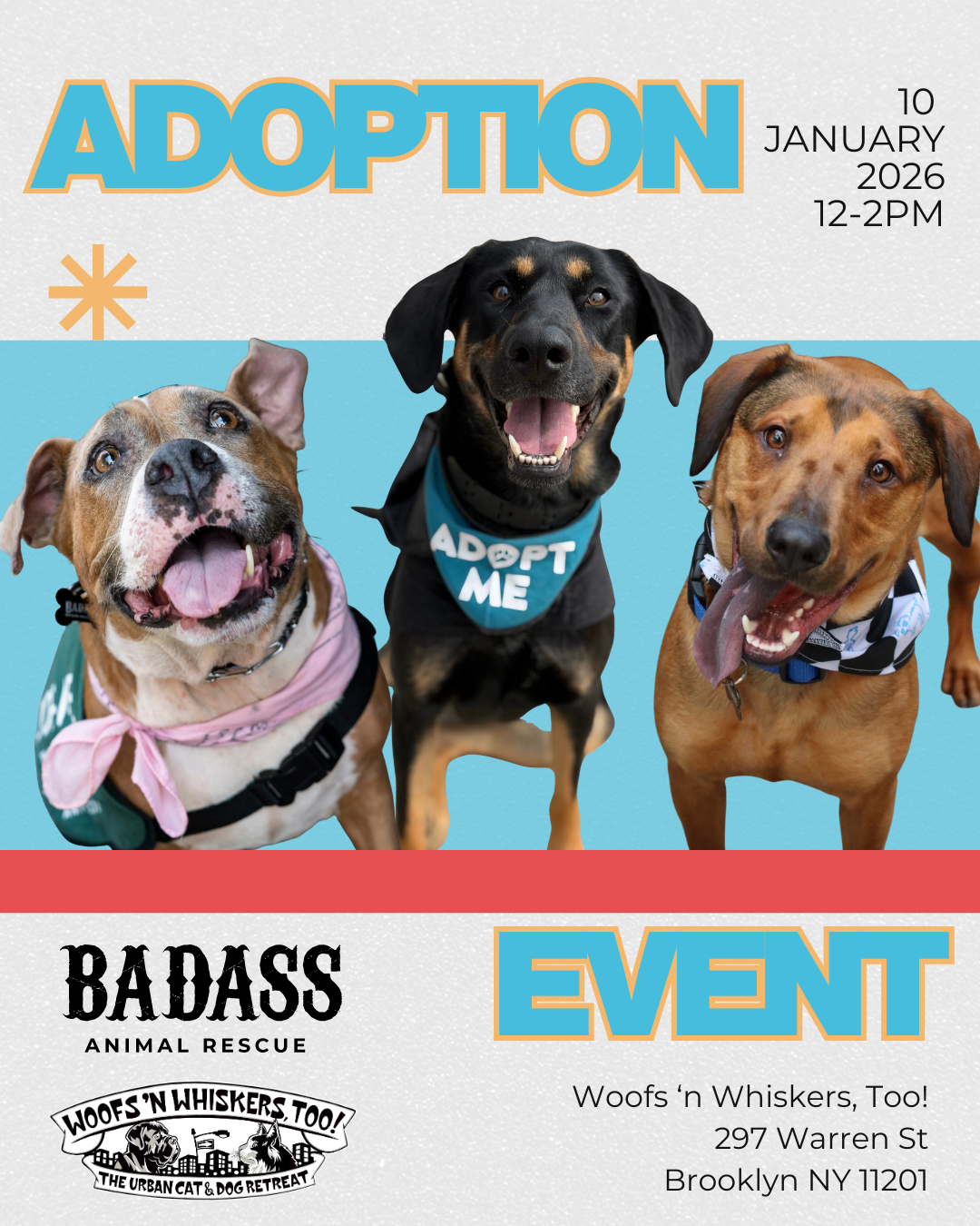 Adoption Event @ Woofs N Whiskers, Too! (Cobble Hill)